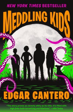 Cover image for Meddling Kids