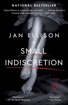 Cover image for A Small Indiscretion