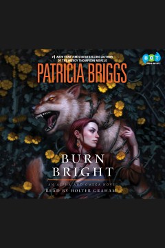 Cover image for Burn Bright