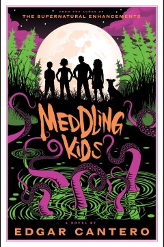 Cover image for Meddling Kids