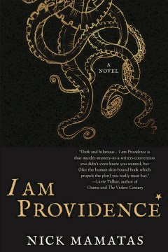 Cover image for I Am Providence