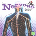 Your nervous system works!