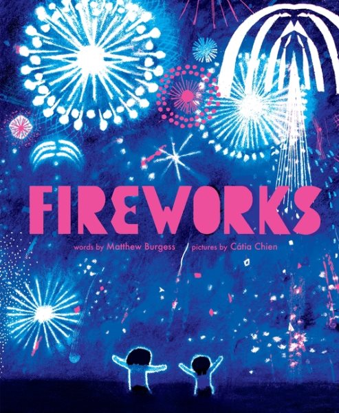 book cover Fireworks by Matthew Burgess