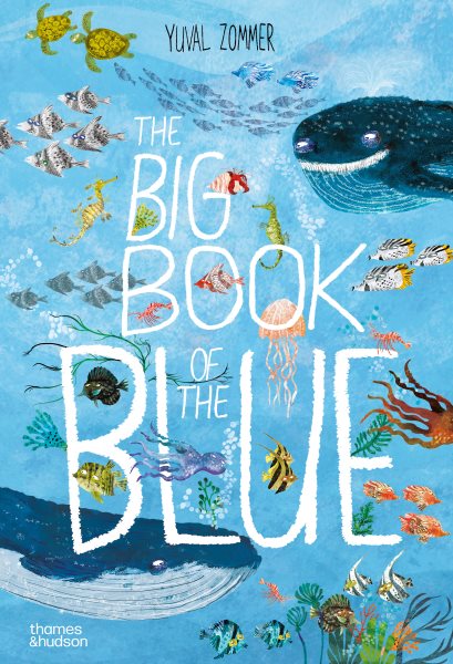 book cover The Big book of the Blue by Yuval Zommer