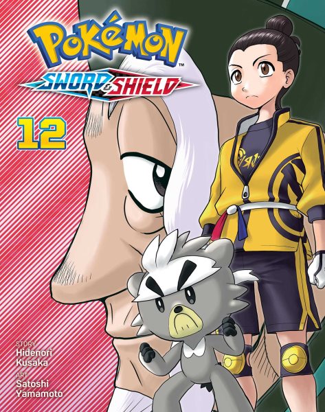 book cover Pokemon Sword & Shield #12 by Kidenori Kusaka