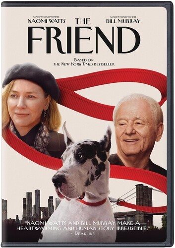 DVD cover The Friend