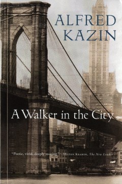 Cover of A Walker in the City