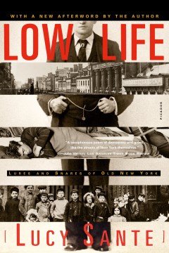 Cover of Low Life: Lures and Snares of Old New York