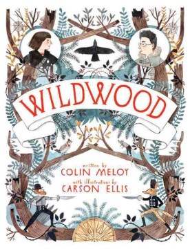 Cover image for Wildwood