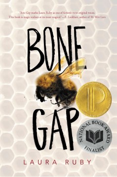 Cover image for Bone Gap