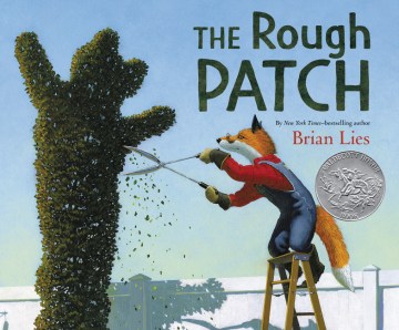 Cover of The Rough Patch