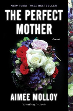 Cover image for The Perfect Mother