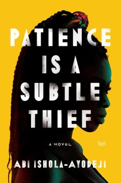 Cover of Patience Is a Subtle Thief: A Novel