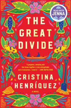 Cover of The great divide : a novel