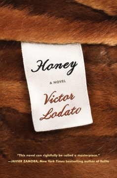 Cover of Honey : a novel