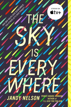 Cover of The Sky is Everywhere