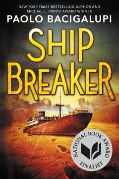 Cover of Ship Breaker