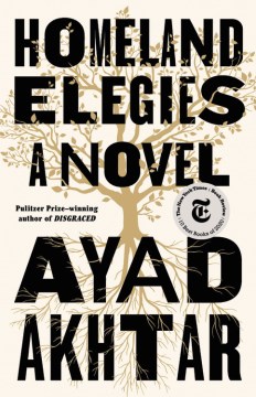Cover of Homeland Elegies: A Novel