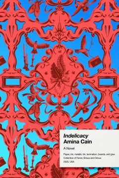 Cover of Indelicacy: A Novel