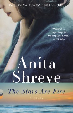 Cover image for The Stars Are Fire