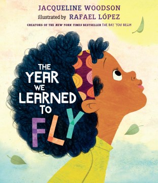 Cover image for The Year We Learned to Fly