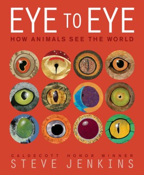 Cover image for Eye to Eye