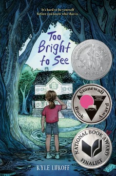 Cover of Too Bright to See