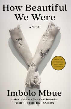 Cover of How beautiful we were : a novel
