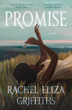 Cover of Promise : a novel