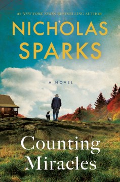 Cover of Counting miracles : a novel