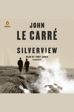 Cover image for Silverview