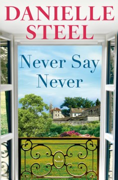 Cover of Never say never : a novel