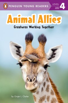 Cover of Animal allies : creatures working together