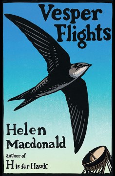 Cover of Vesper Flights: New and Collected Essays