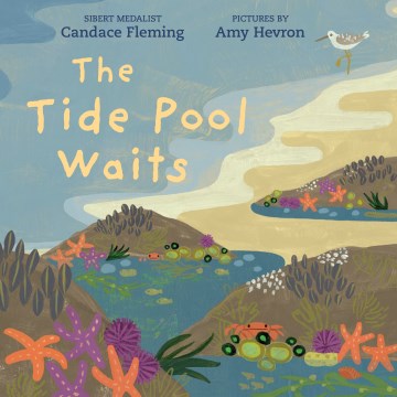Cover of The Tide Pool Waits