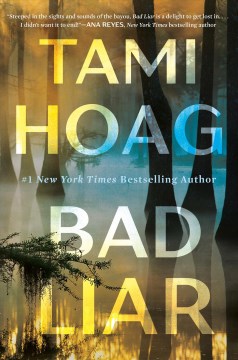 Cover of Bad liar : a novel