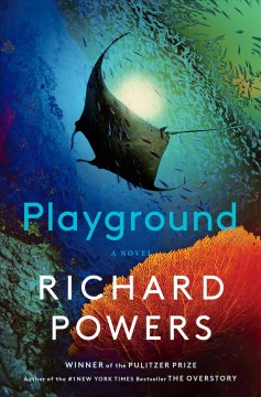 Cover of Playground : a novel