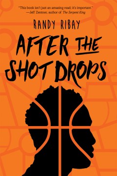 Cover of After the Shot Drops