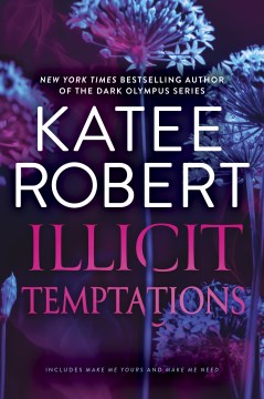 Cover of Illicit temptations