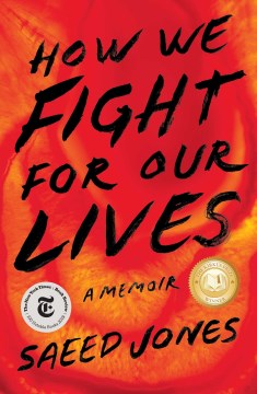 Cover of How We Fight for Our Lives: A Memoir