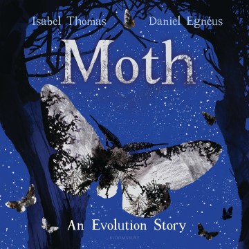 Cover of Moth: An Evolution Story