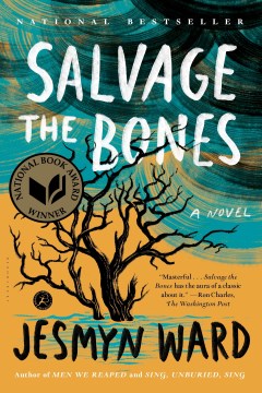 Cover image for Salvage the Bones