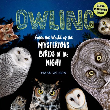 Cover of Owling: Enter the World of the Mysterious Birds of the Night