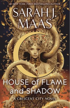 Cover of House of flame and shadow