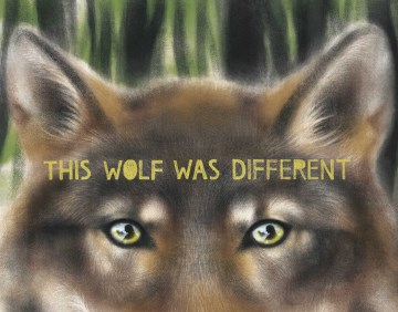 Cover of This Wolf Was Different