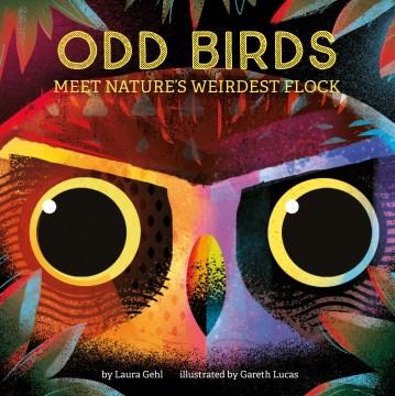 Cover image for Odd Birds