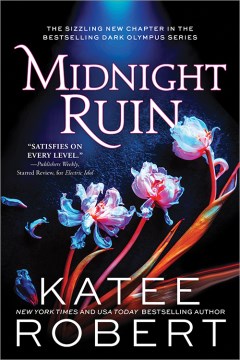 Cover of Midnight ruin