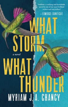 Cover of What Storm, What Thunder: A Novel