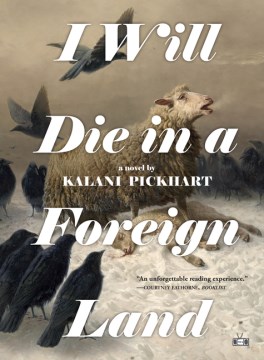 Cover of I Will Die in a Foreign Land: A Novel