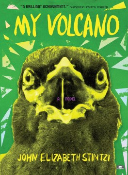 Cover of My Volcano: A Novel